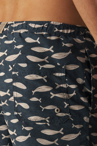 Îlot Colombia, Pantaloneta bahía, Ref. CH16052-MH16052-LH16052, Hombre/Ilot, Pantaloneta de baño, Pantalonetas, Producto ECO, Ropa playa hombre