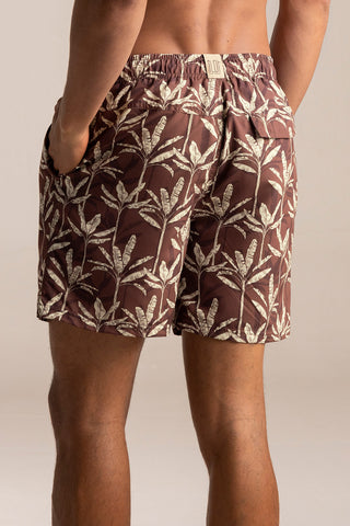 Îlot Colombia, Pantaloneta península, Verano, Playa, Ropa para hombre