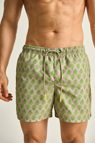 Îlot, Pantaloneta, CH75041-MH75041-LH75041, Pantalonetas, Classic cut