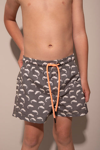 Pantaloneta gris para niño — Îlot